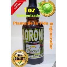 Moronel Concentrado